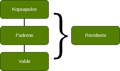 Pārvaldes struktūra