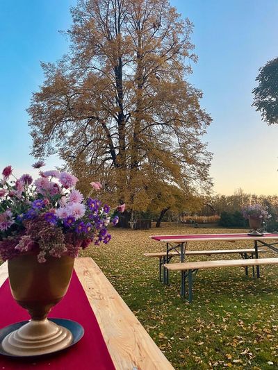 Rozes virtuves pakalpojumu dažādošana