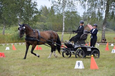 Piesakies pajūgu braukšanas mācībām ar augstas klases ekspertu no Somijas!