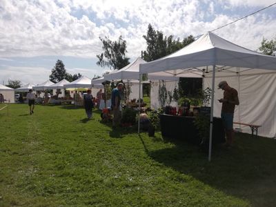 Aizvadīts pirts lietu “Zaļais tirdziņš” klātienē un tiešsaistes lekcijas “Dabas spēks”!