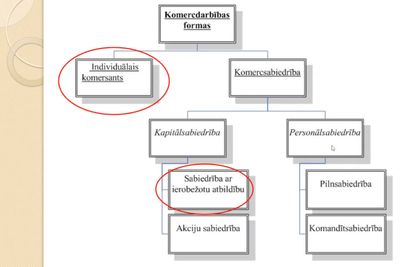 Uzņēmējdarbības formas un nodokļa izvēles iespējas pirtniekiem